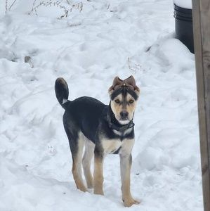 Meet your Posher, Aaron